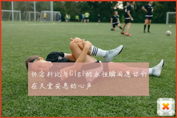 怀念科比与Gigi的永恒瞬间愿你们在天堂安息的心声